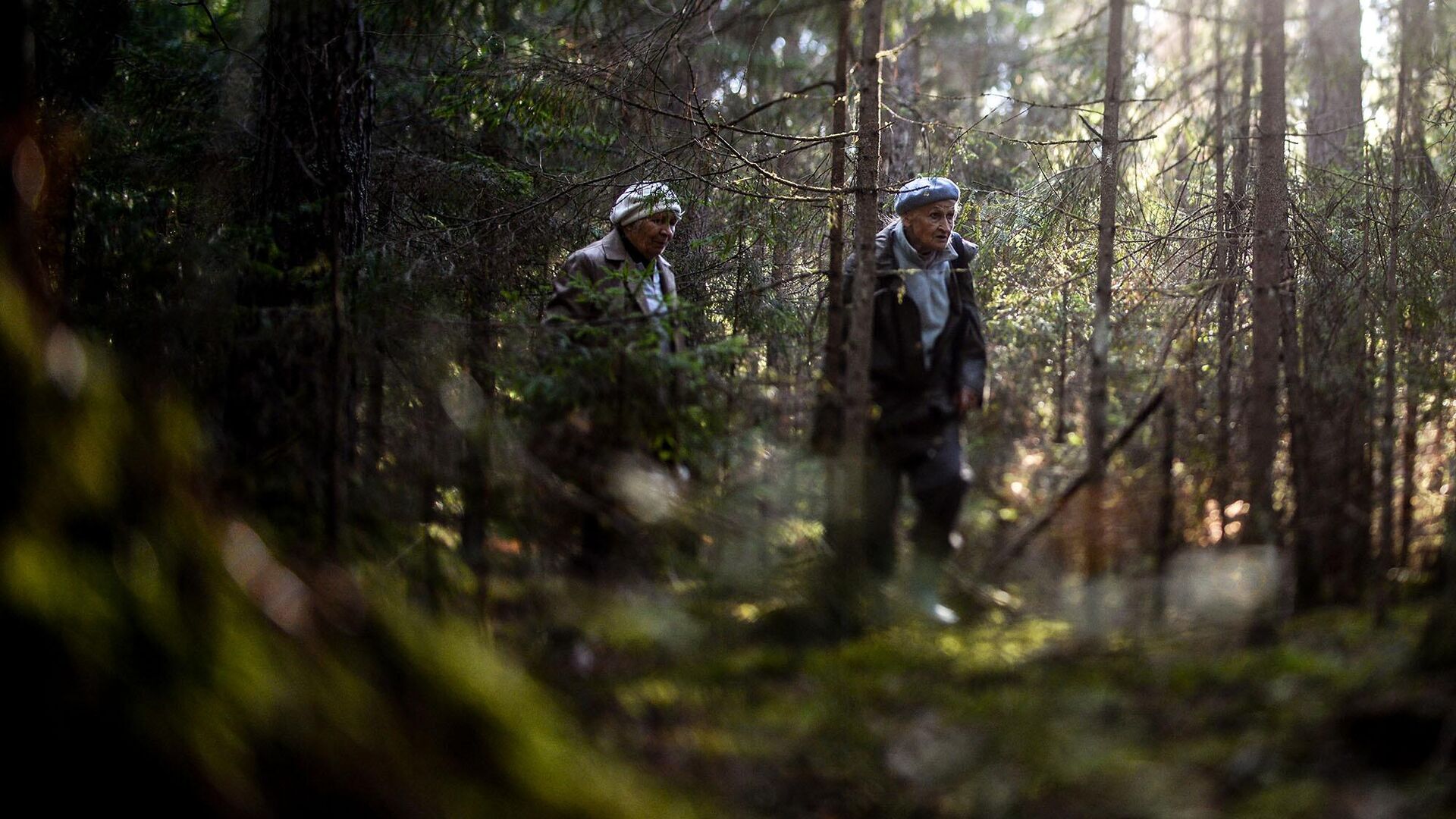 Можно ли посещать леса. Человек потерялся в лесу. Шары в лесу в Тверской области. Лес действующие лица фото. Фото заснятые в лесу с Виктором Королевым.