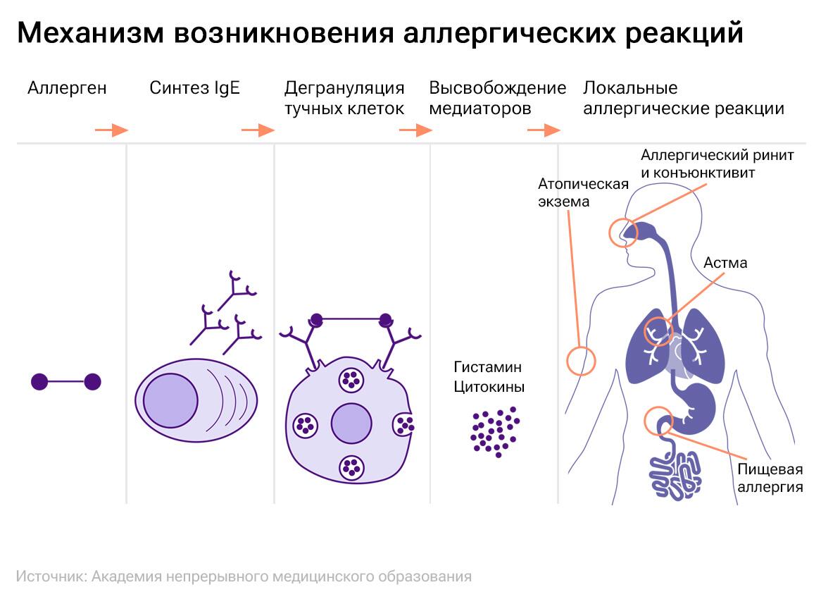 Поражает сердце. Ученые выявили неожиданную опасность молочных продуктов -  РИА Новости, 16.11.2023