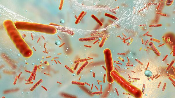 Бактерии устойчивые к антибиотикам 