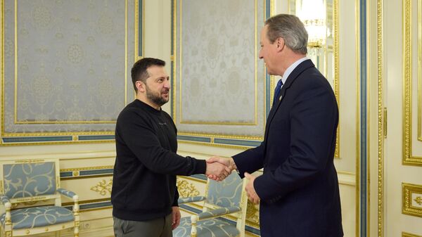 Владимир Зеленский и глава МИД Великобритании Дэвид Кэмерон во время встречи в Киеве