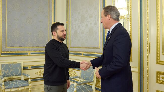 Президент Украины Владимир Зеленский и глава МИД Великобритании Дэвид Кэмерон во время встречи в Киеве