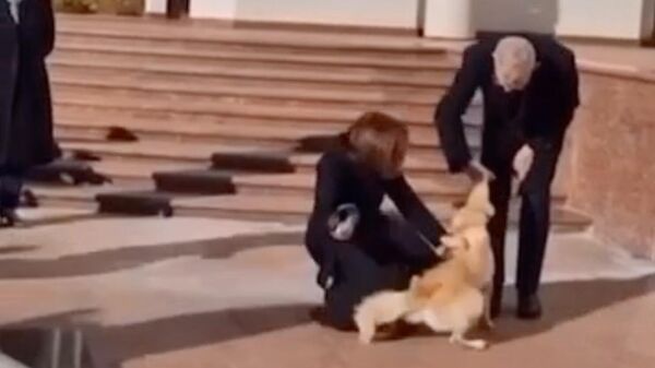 Собака президента Молдавии Майи Санду укусила за палец президента Австрии Александера ван дер Беллена