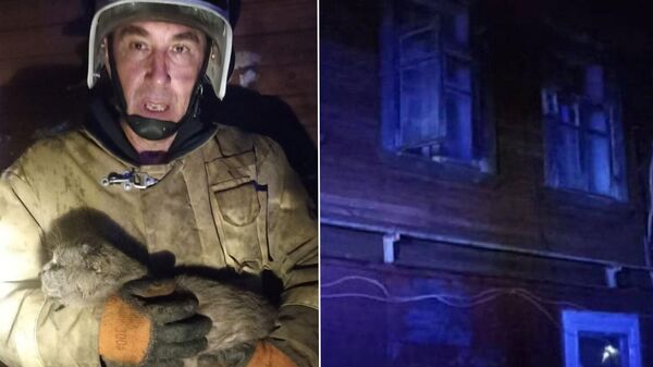 Новгородский пожарный с котом, спасенным из горящей квартиры в Окуловке Новгородской области