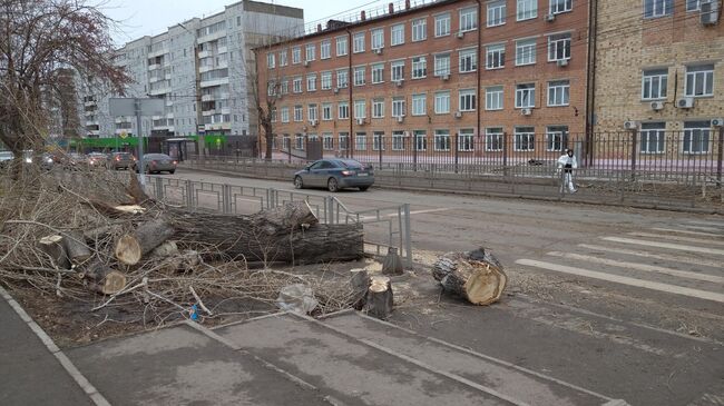 Последствия штормового ветра в Красноярске