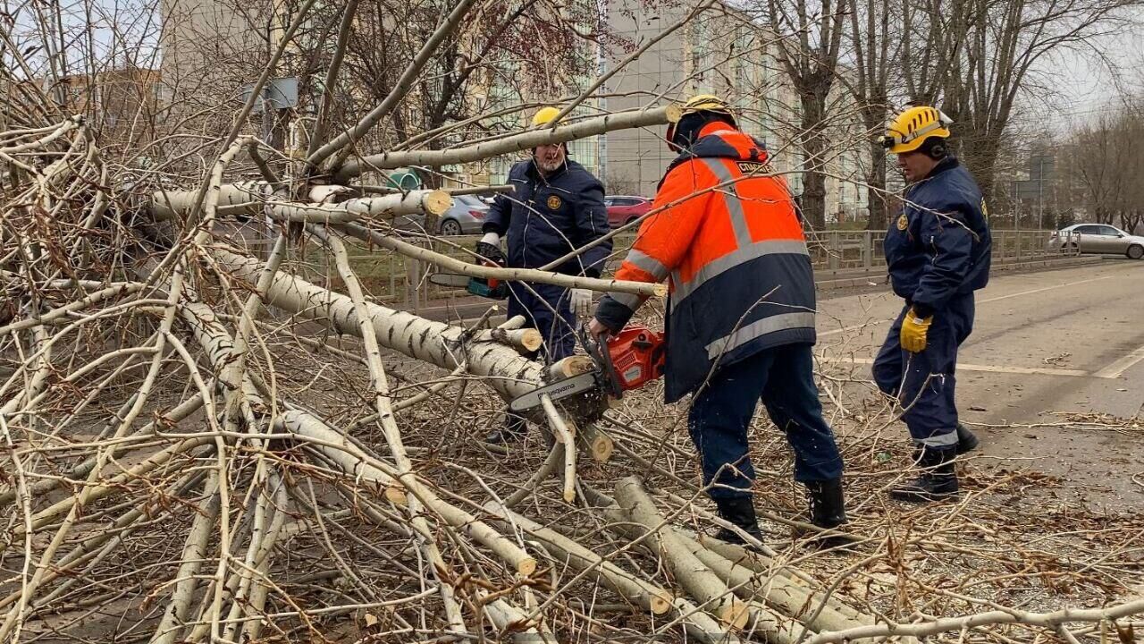 Экстренные службы ликвидируют последствия штормового ветра в Красноярске. 19 ноября 2023 - РИА Новости, 1920, 19.11.2023