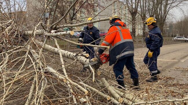 Экстренные службы ликвидируют последствия штормового ветра в Красноярске. 19 ноября 2023