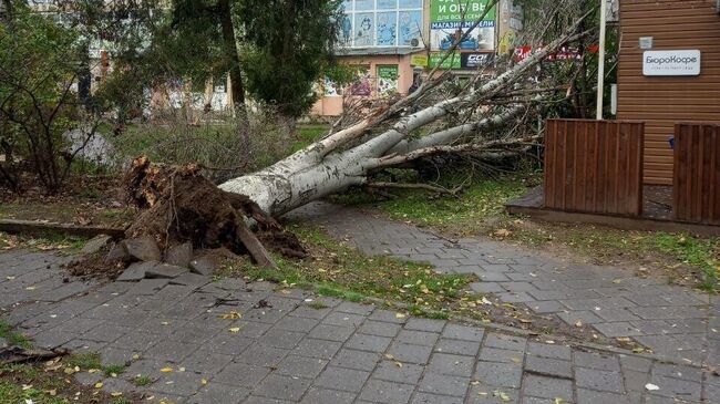 Последствия штормового ветра в Керчи