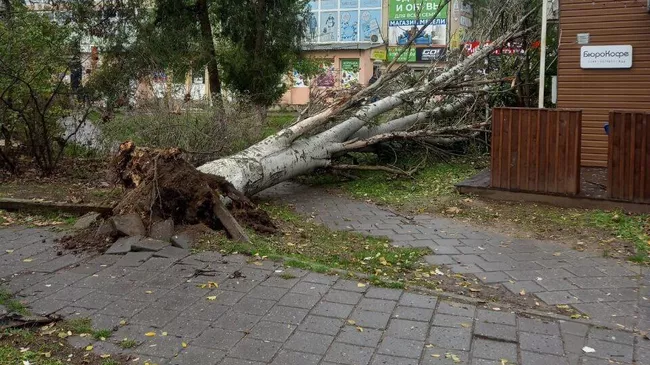 Последствия штормового ветра в Керчи