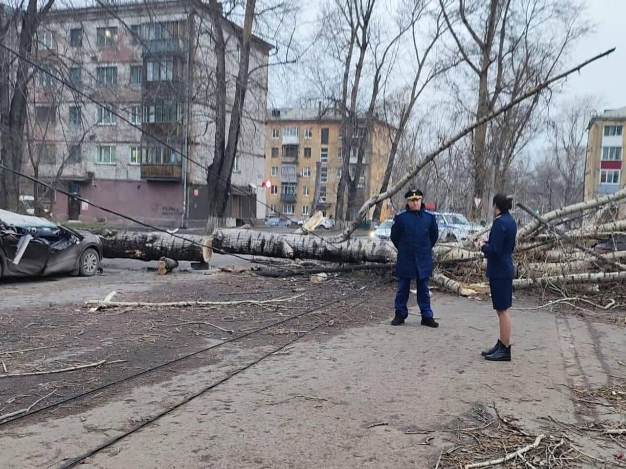 Власти Новокузнецка заявили о небывалом урагане с 1978 года - РИА Новости,  19.11.2023