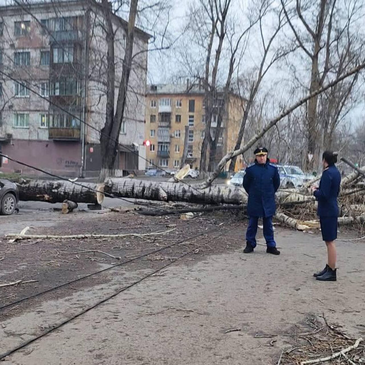 Власти Новокузнецка заявили о небывалом урагане с 1978 года - РИА Новости,  19.11.2023