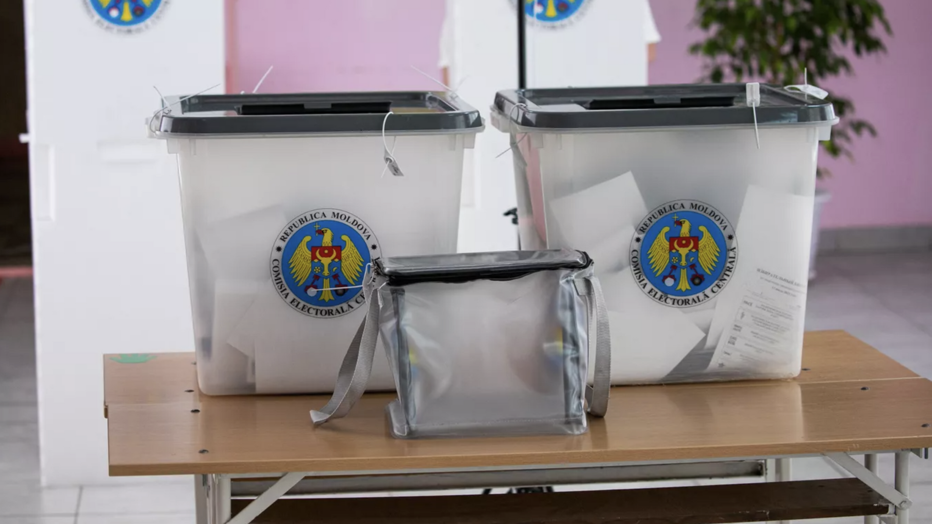 Правил молдова. Выборы в Молдове фото контейнера. Promo Lex.