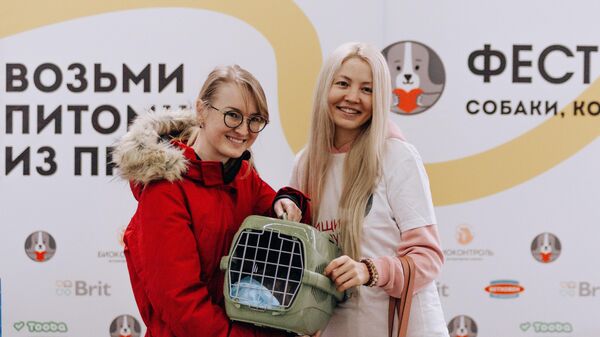 Фестиваль Собаки, которые любят (и котики!)