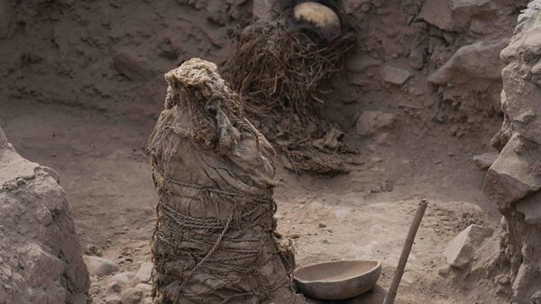 Одна из мумий, найденная при раскопках в Перу