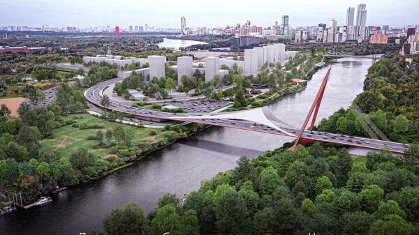 Проект моста в Мневниковской пойме в Москве