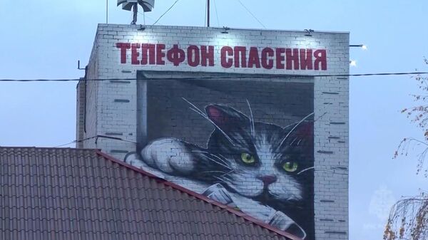 Мурал с изображением кота в Зеленоградске