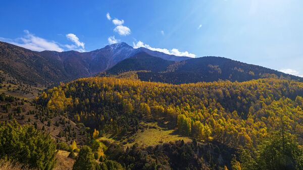 Природный парк Ала-Арча в Киргизии