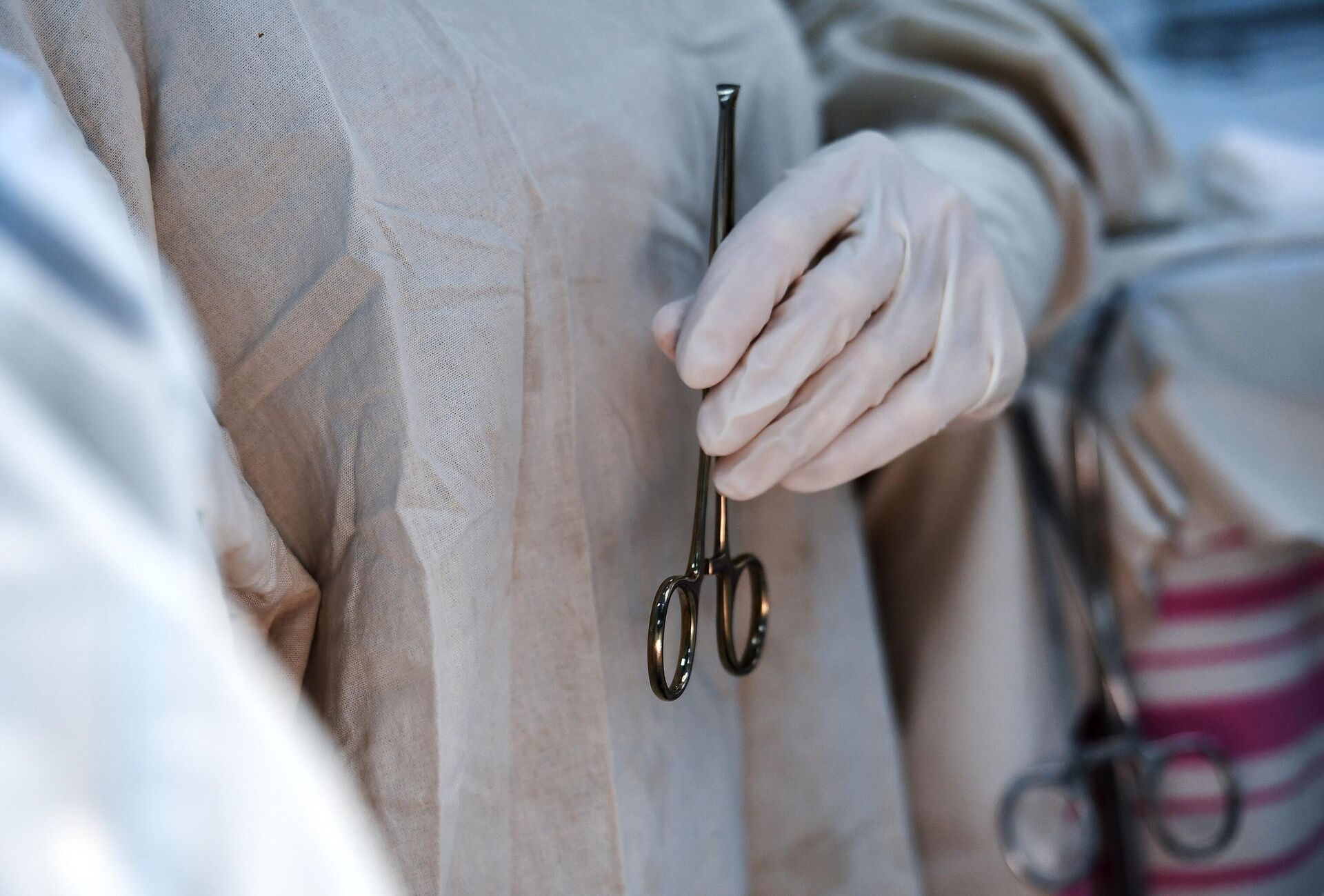 Хирург-гинеколог держит хирургический зажим во время операции - РИА Новости, 1920, 22.11.2023