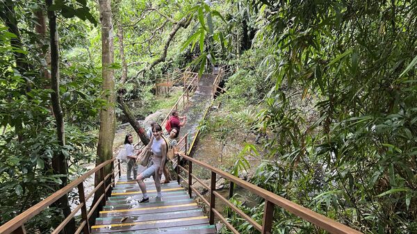 Туристы бродят по джунглям парка