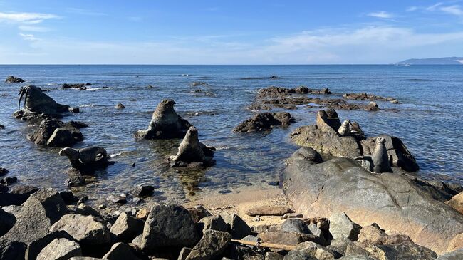 Бухта Чистой воды. Вход в море каменистый