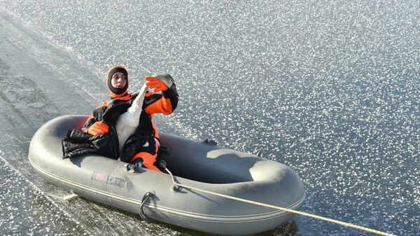 Спасатель, освободивший замерзающего лебедя из полыньи на городском пляже в Белгороде