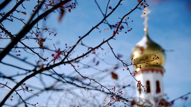 Храм святителя Луки Крымского