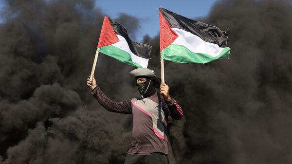 Молодой человек с флагами Палестины во время акции протеста на границе Израиля и Газы