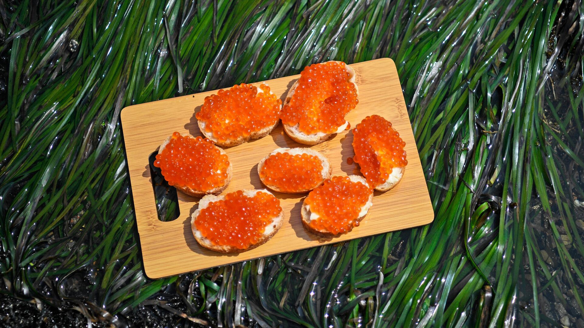 Бутерброды с красной икрой. - РИА Новости, 1920, 04.09.2025