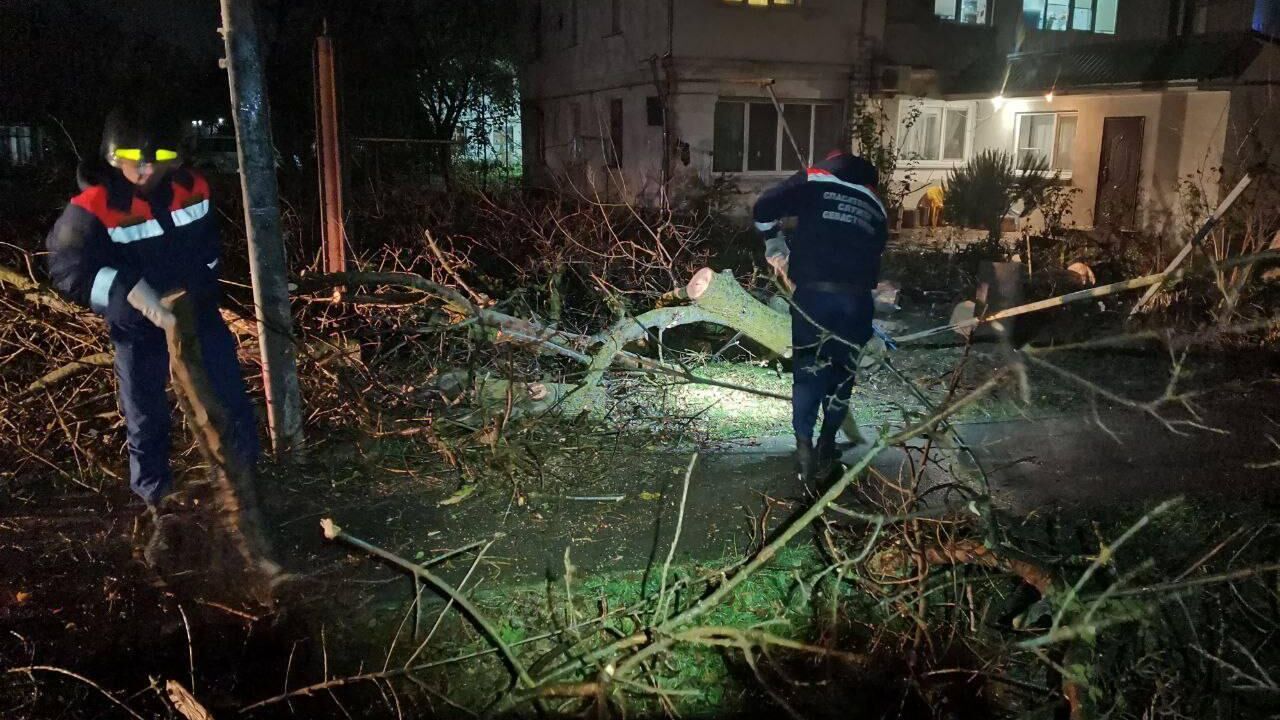 Общественный транспорт в Крыму перевели на режим выходного дня - РИА  Новости, 27.11.2023