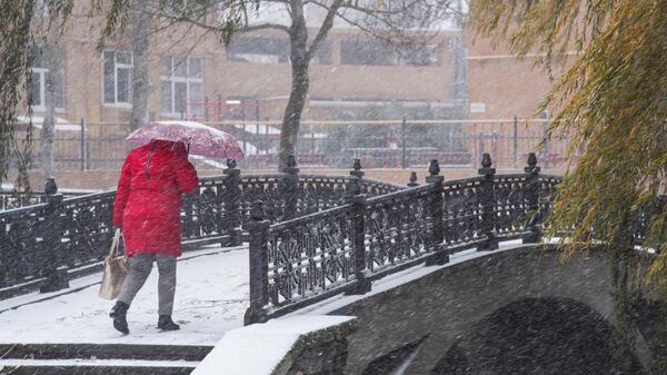 Женщина во время снегопада в Симферополе