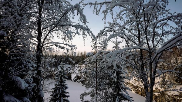 Заснеженные деревья в горном парке Рускеала в Сортавальском районе Республики Карелия