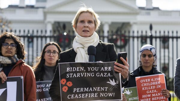 Актриса Синтия Никсон во время акции протеста у Белого дома в Вашингтоне