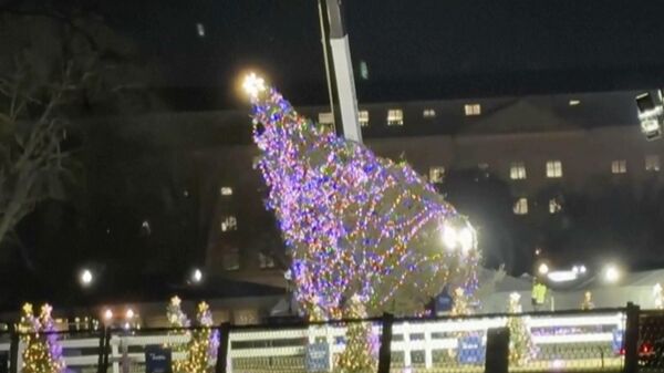 Ветер повалил главную рождественскую елку Вашингтона