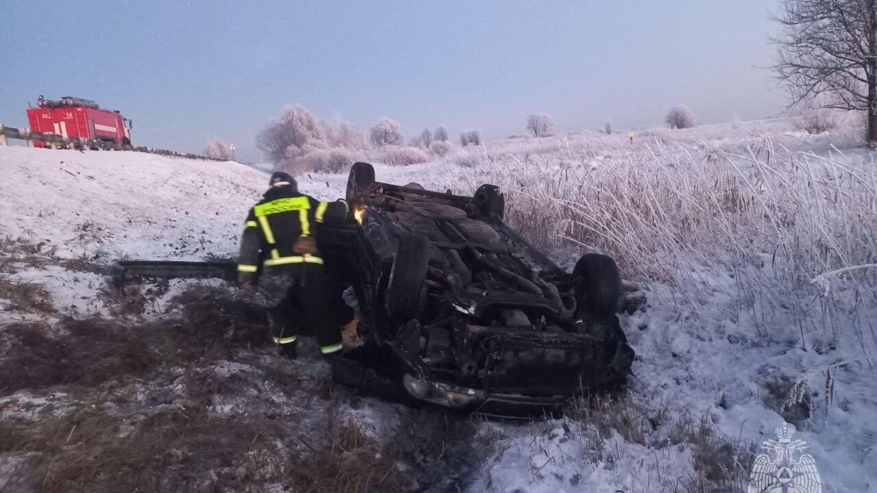 В Воронежской области женщина погибла, попав под три машины - РИА Новости,  30.11.2023