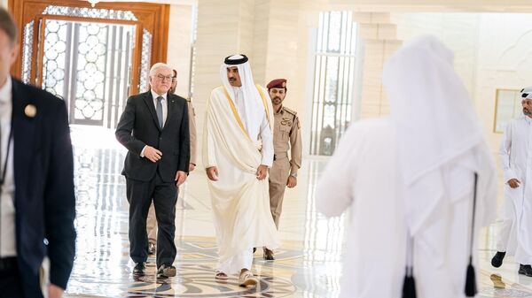Президент Германии Франк-Вальтер Штайнмайер во время визита в Катар