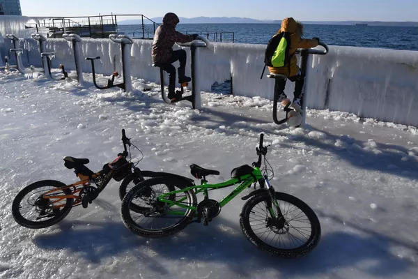 凍てつく日、ウラジオストクのスポーツハーバーの氷の堤防を歩く子供たち