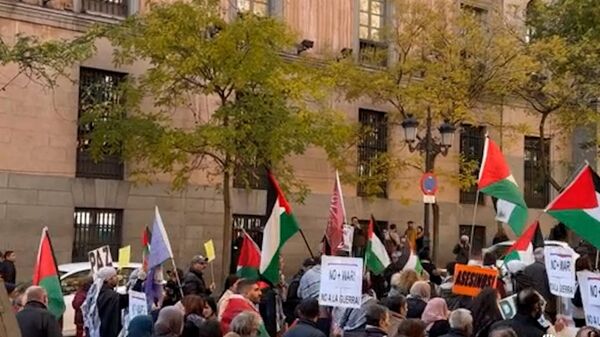 Митинг в Мадриде в поддержку Палестины
