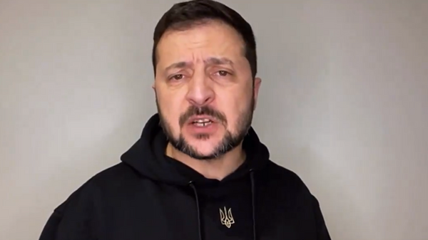 Скриншот видеообращения Владимира Зеленского