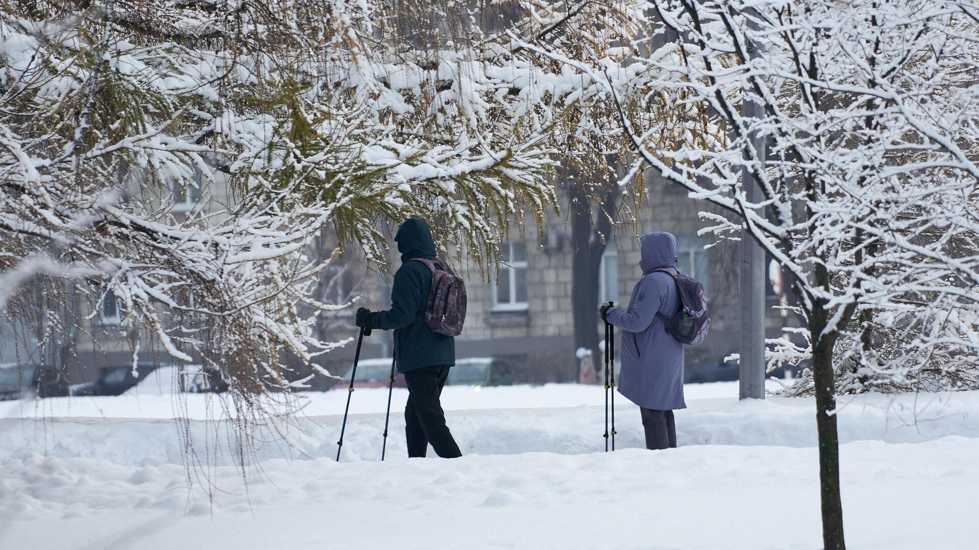 Скандинавская ходьба зимой Скандинавская ходьба зимой - РИА Новости, 1920, 17.11.2025