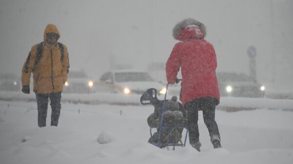 Люди во время сильного снегопада в Москве