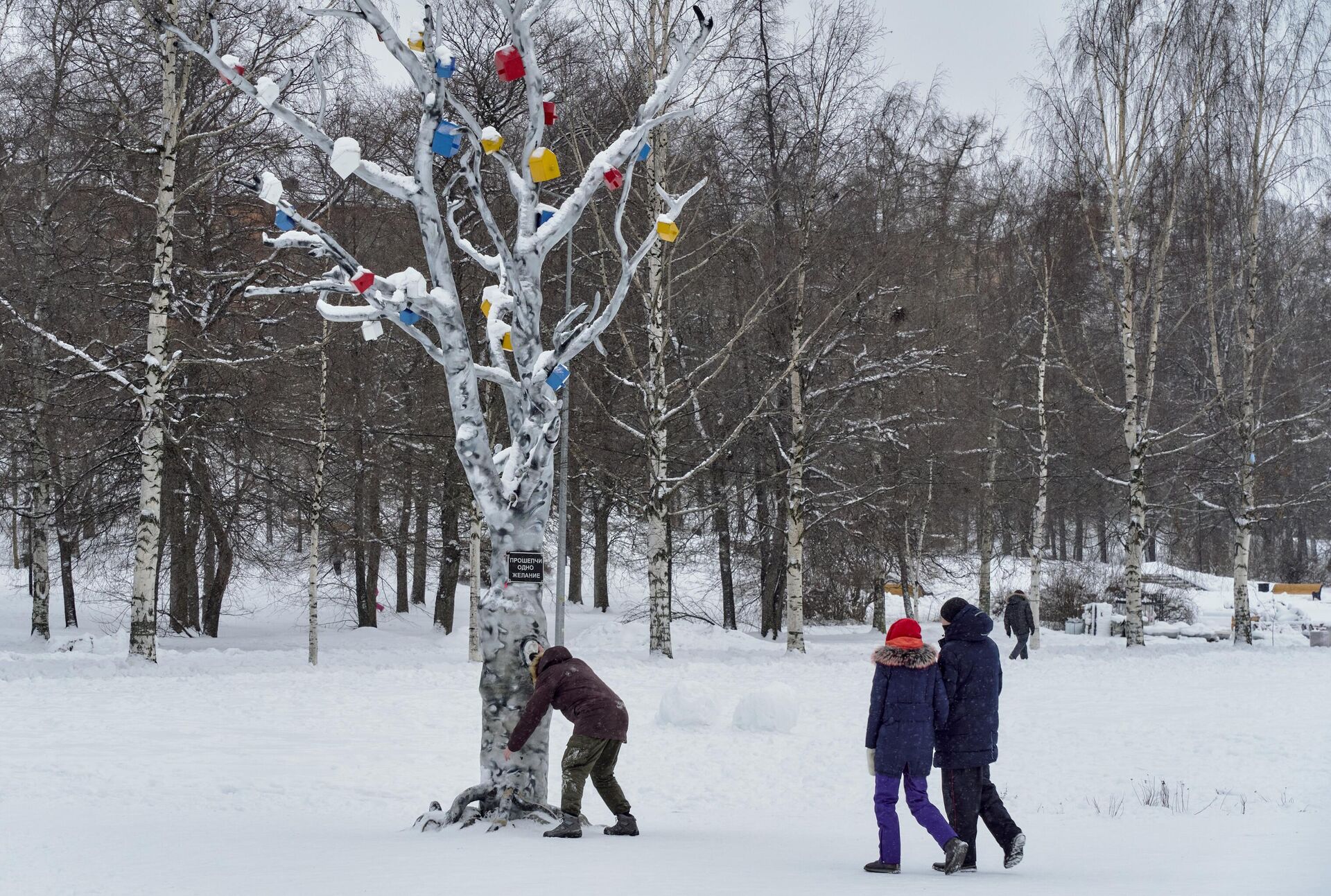 Молодые люди у дерева Желаниий на набережной Онежского озера в городе Петрозаводске - РИА Новости, 1920, 04.12.2023