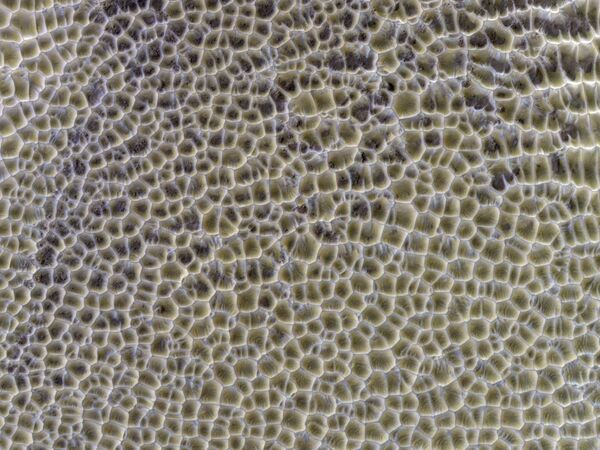 Полигональные дюны Марса. Фото сделано 18 марта 2022-го камерой HiRISE. Первичное черно-белое изображение обработано в специальной программе HiWish Полигональные дюны Марса. Фото сделано 18 марта 2022-го камерой HiRISE. Первичное черно-белое изображение обработано в специальной программе HiWish