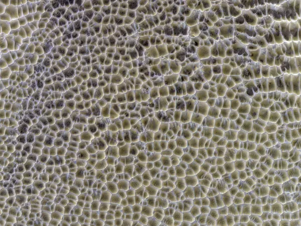 Полигональные дюны Марса. Фото сделано 18 марта 2022-го камерой HiRISE. Первичное черно-белое изображение обработано в специальной программе HiWish