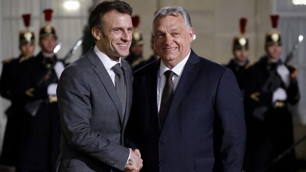Президент Франции Эммануэль Макрон и премьер-министр Венгрии Виктор Орбан во время встречи