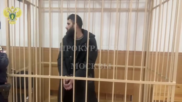 Арестованный продавец шаурмы, погнавшийся с тесаком за покупателем в Москве