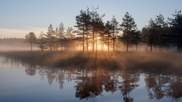 Солнце просвечивает сквозь деревья утром на лесном озере в Республике Карелия