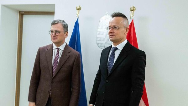 Главы МИД Венгрии и Украины Петер Сийярто и Дмитрий Кулеба во время встречи в Брюсселе