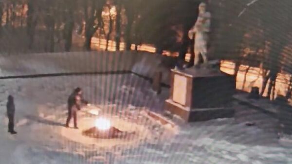 Школьники забросали снегом Вечный огонь в Красном Селе