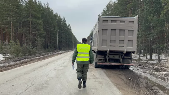 Уборка мусора в Ленинградской области