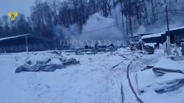 Видео с места пожара в конюшне в Москве