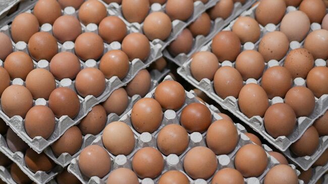ФАС предложила запретить взимать вознаграждение с поставщиков яиц